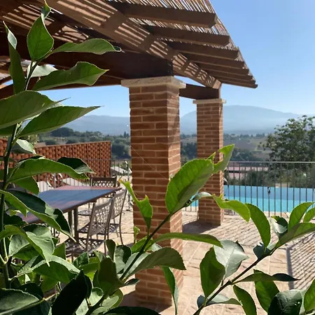 Taurus Lidarno
